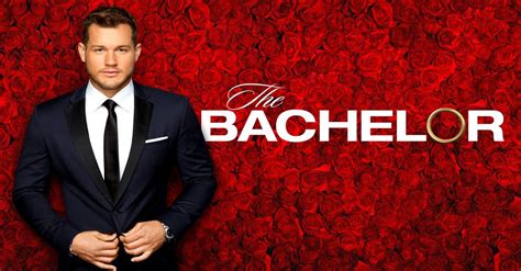 the bachelor tv show